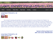 Tablet Screenshot of lampuexport.com